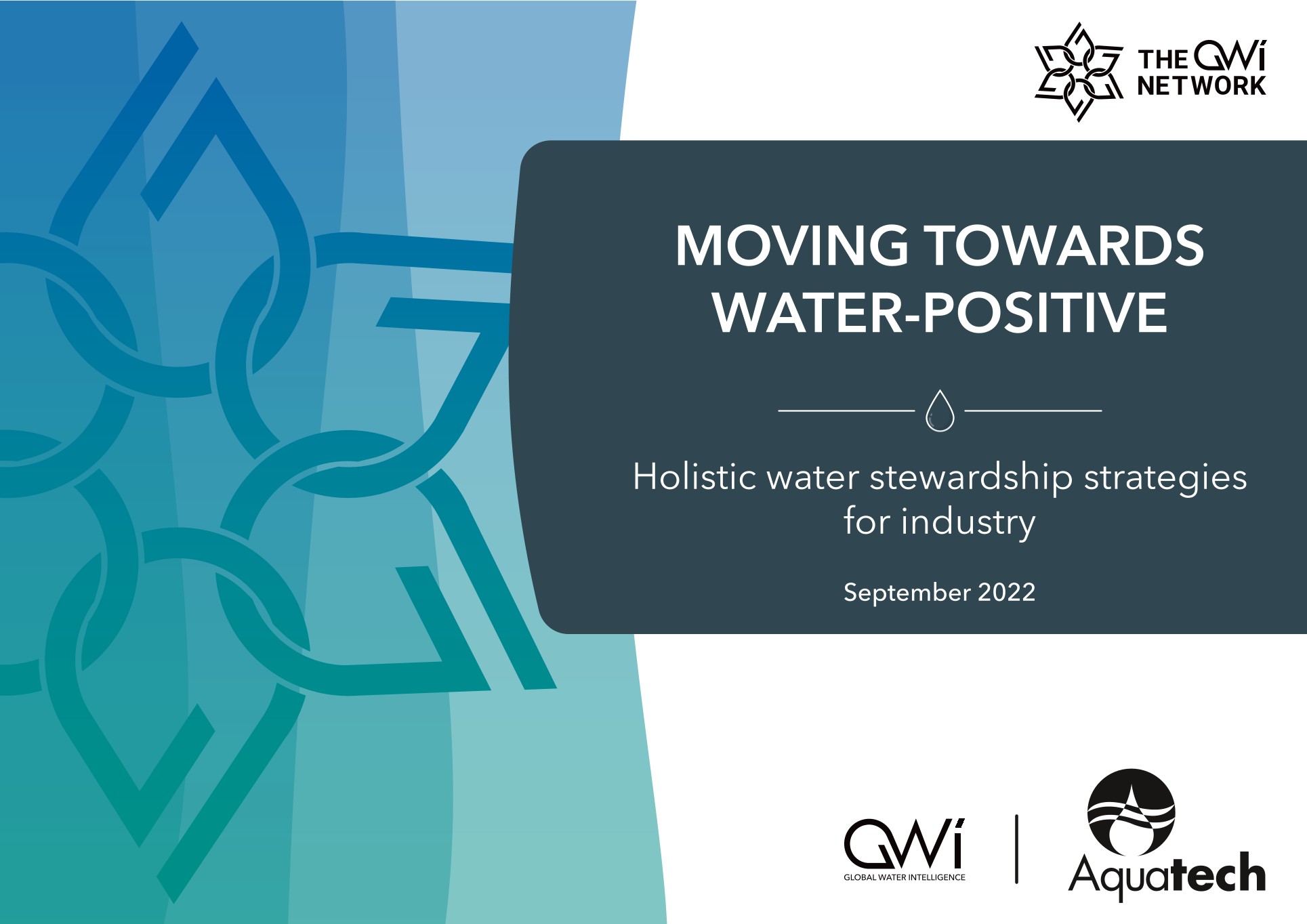 Whitepaper: Moving Towards Water-Positive - Holistic Water Stewardship Strategies for Industry