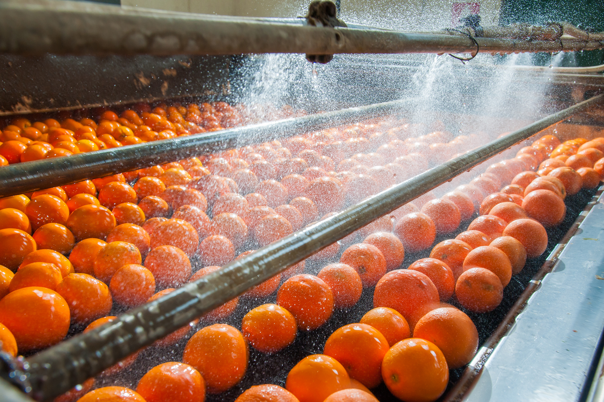 Increasing Sustainability by Reusing Food Process and Discharge Water